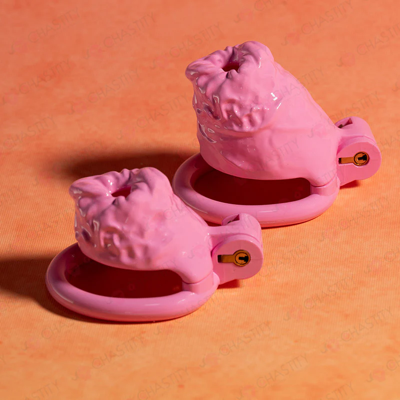Anus-Shaped Chastity Cage for Chastity Humiliation - Image 6