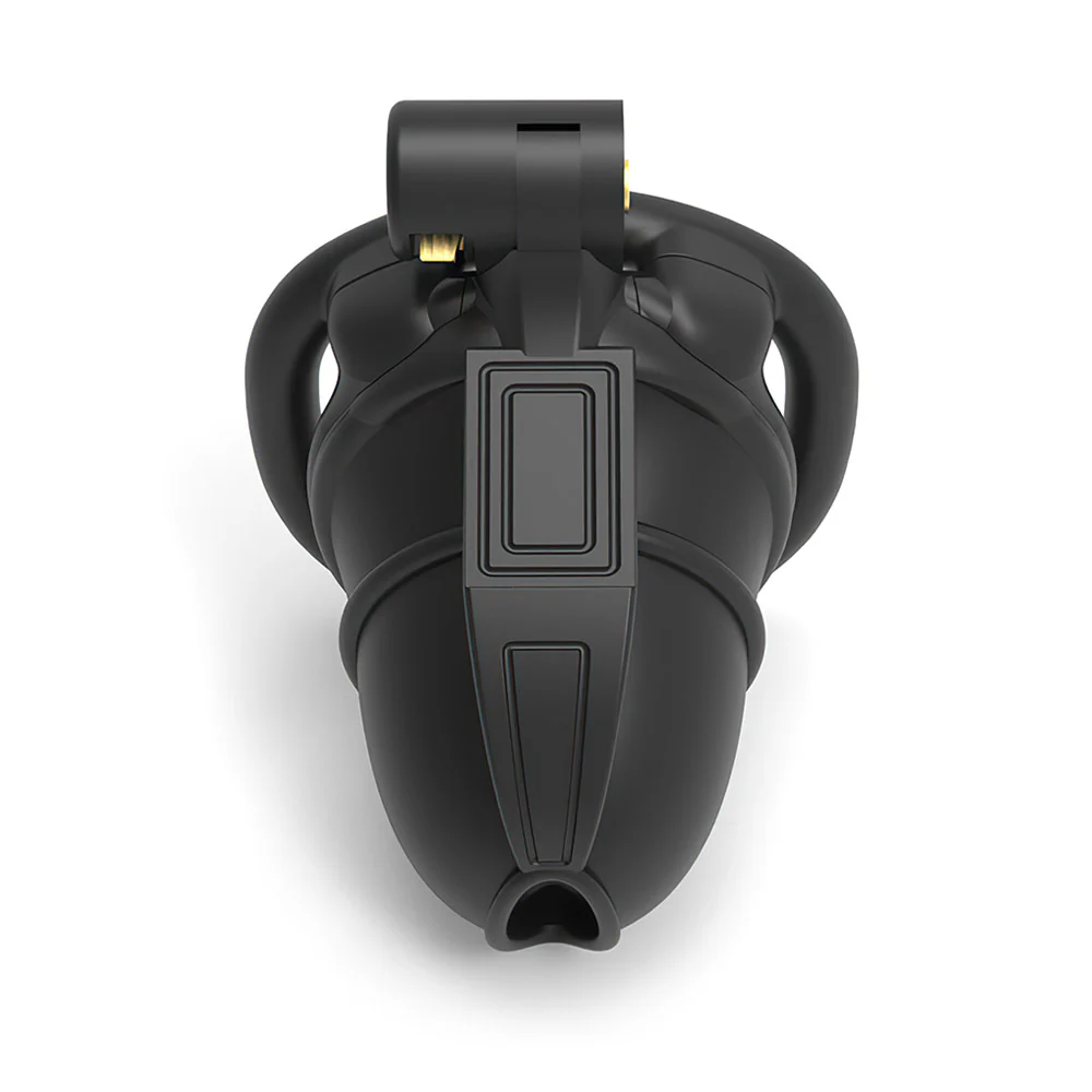 BDSM Cock Lock - Image 2