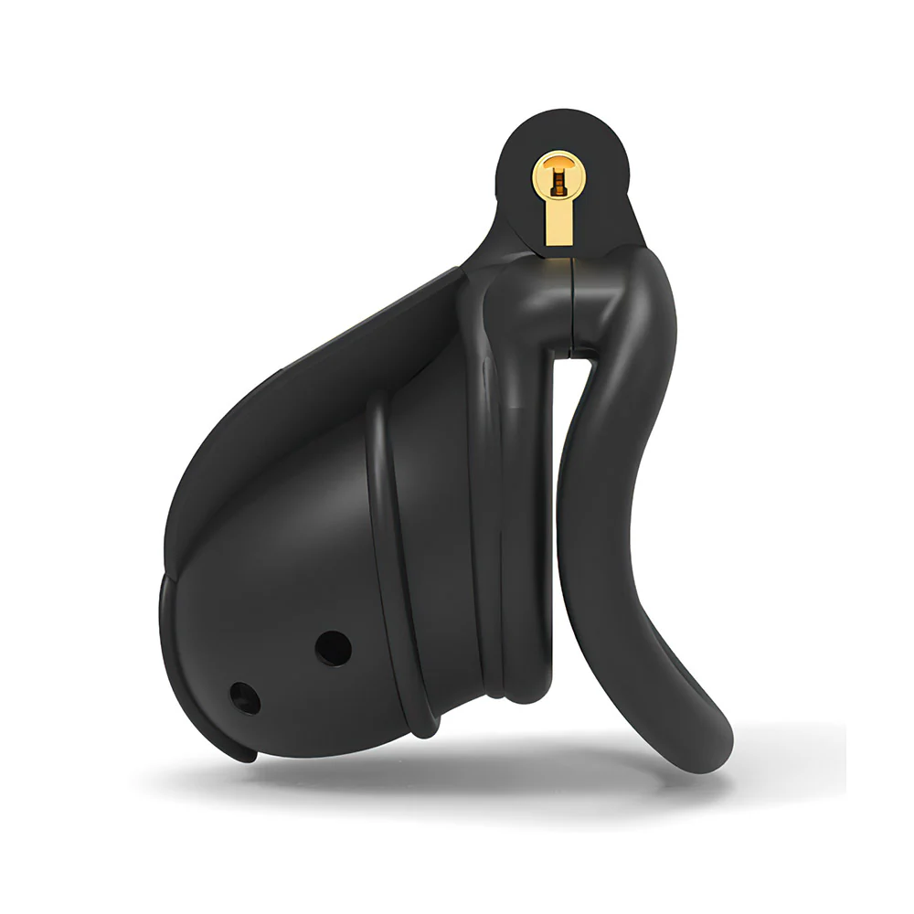 BDSM Cock Lock - Image 5