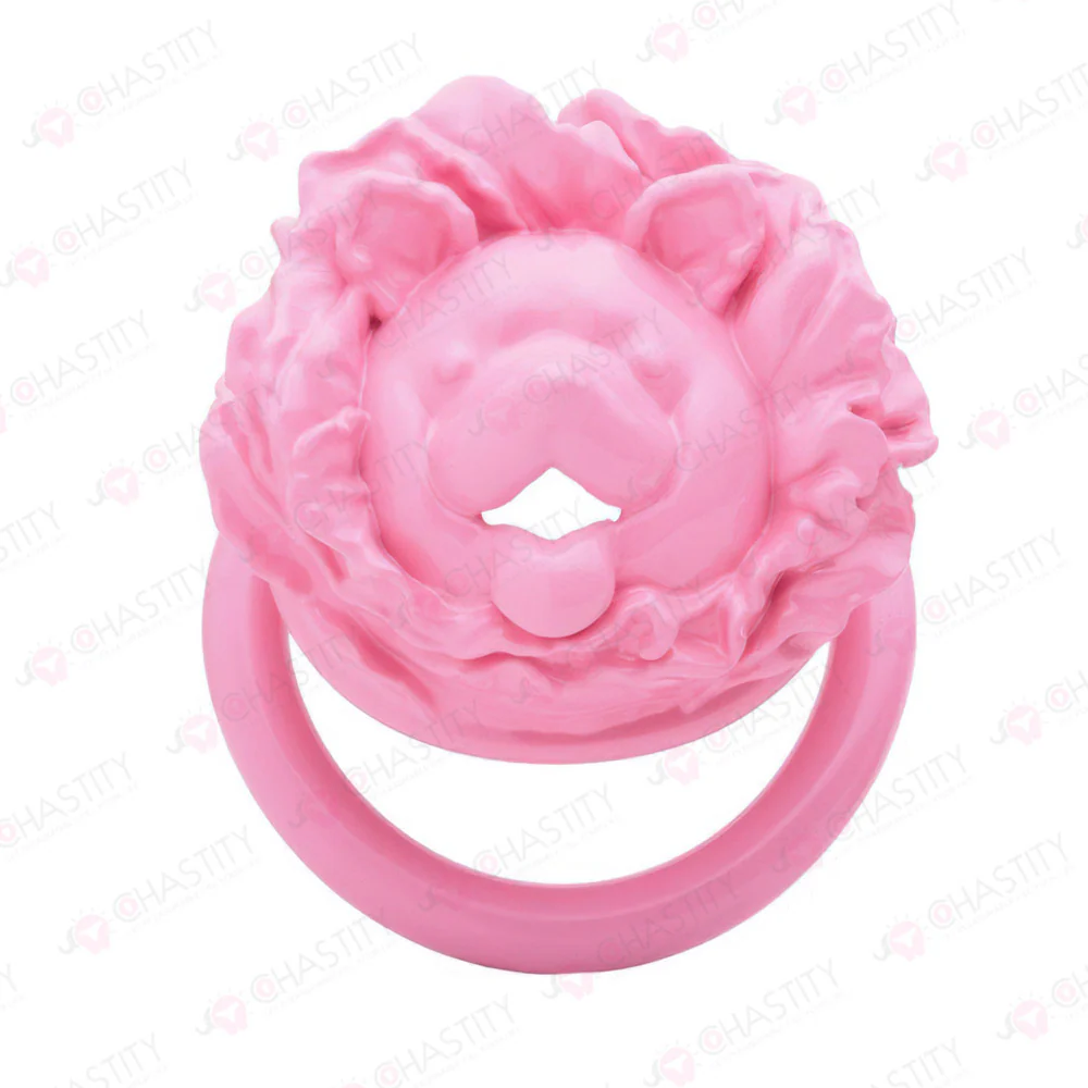 Cabbage Dog - Chastity Puppy Play - Image 2