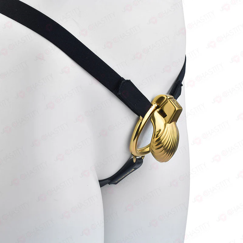 Cage Of Shame Chastity (Shell) - Image 15
