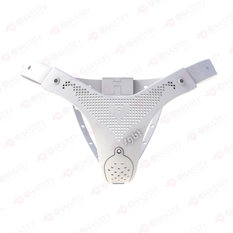 Chastity Belt For Wife - Image 16