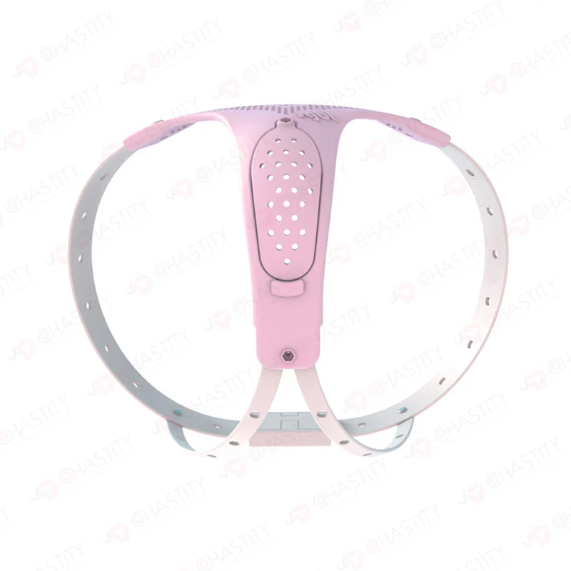 Chastity Belt For Wife - Image 2