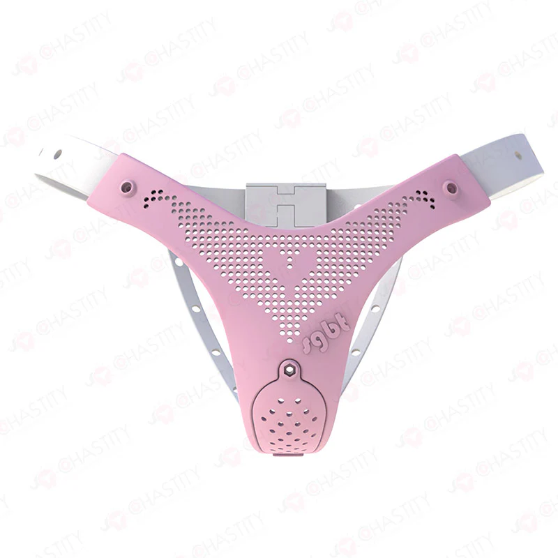 Chastity Belt For Wife - Image 4