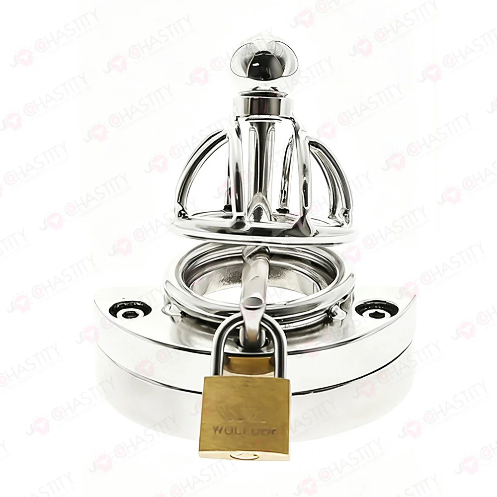 Chastity Cage With Ball Stretcher - Image 4