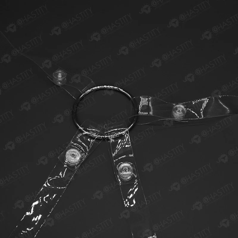Clear Chastity Cage Support Belt - Image 5