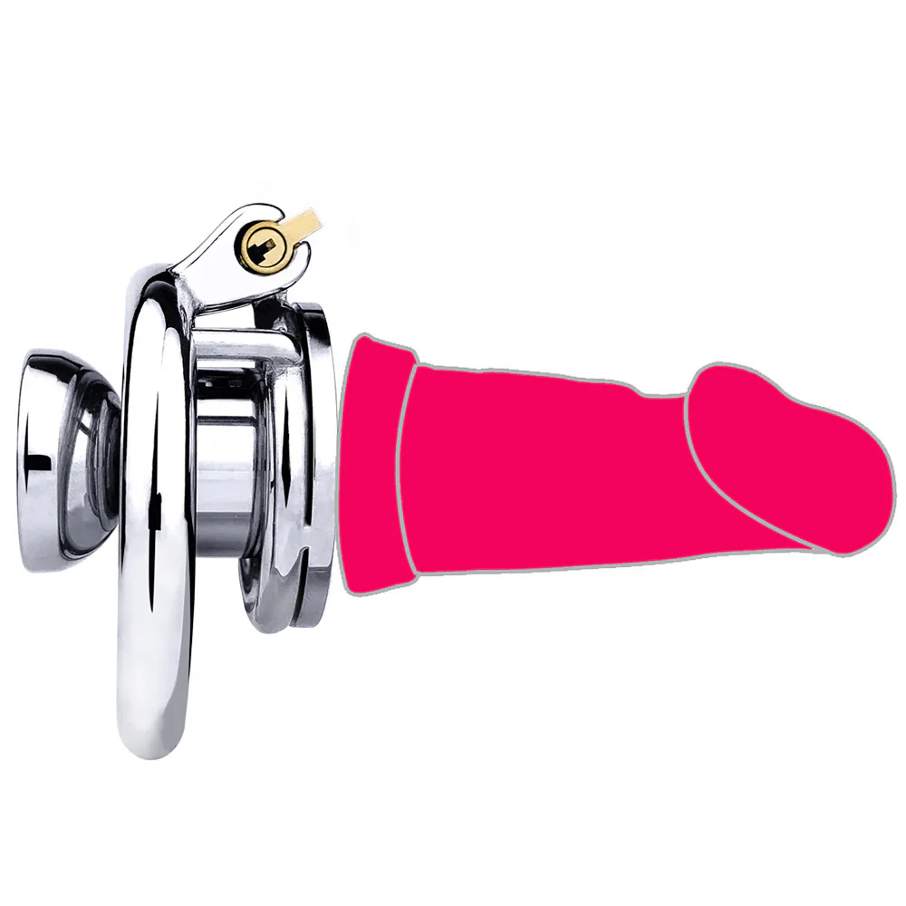 Cock In Chastity With Dildo - Image 26
