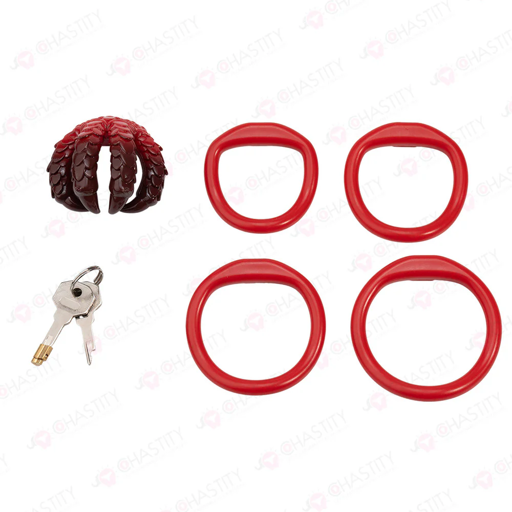 Dragon Claw Chastity Cock Holder - Image 5