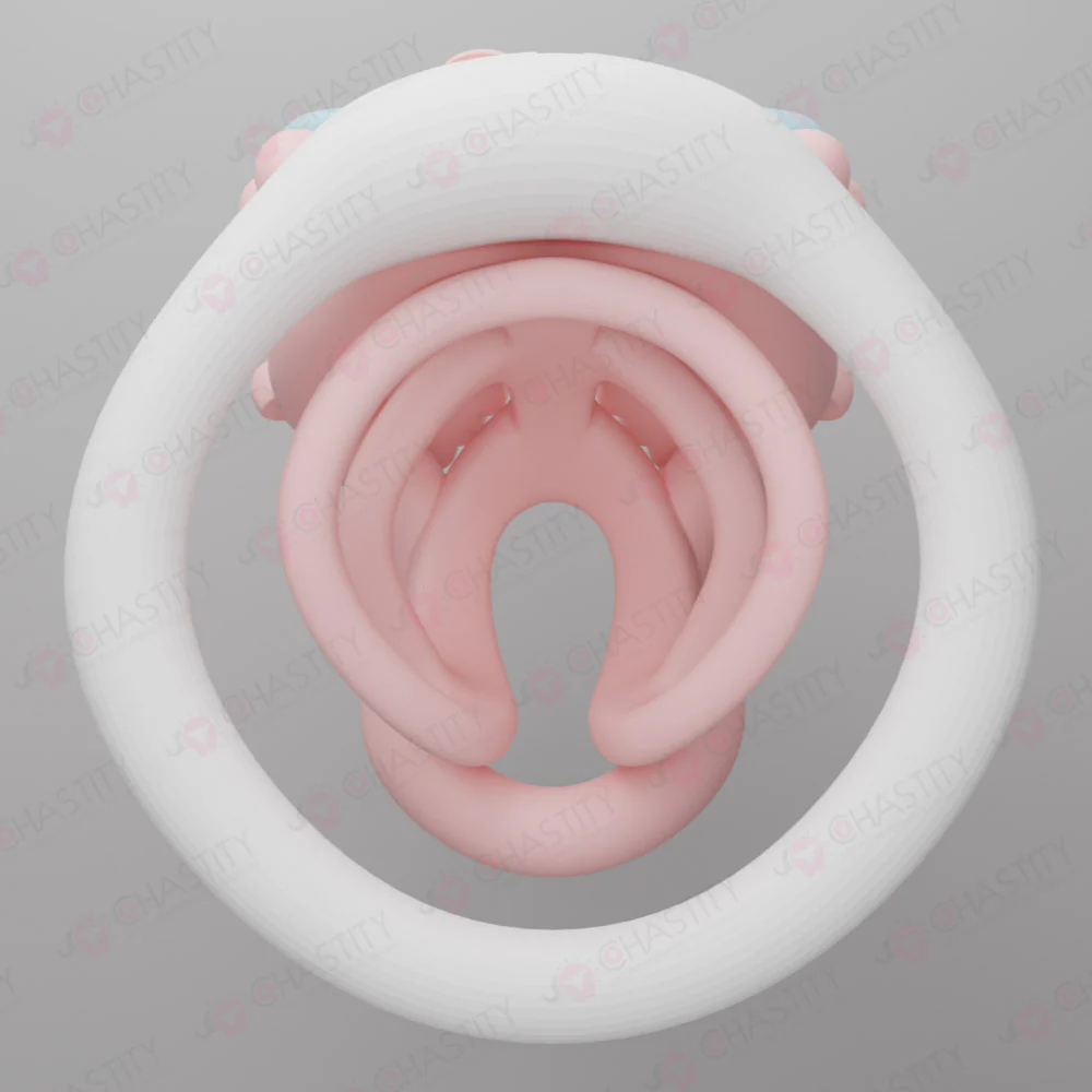 Sissy Lady of a Prominent Family Chastity Cage - Image 4
