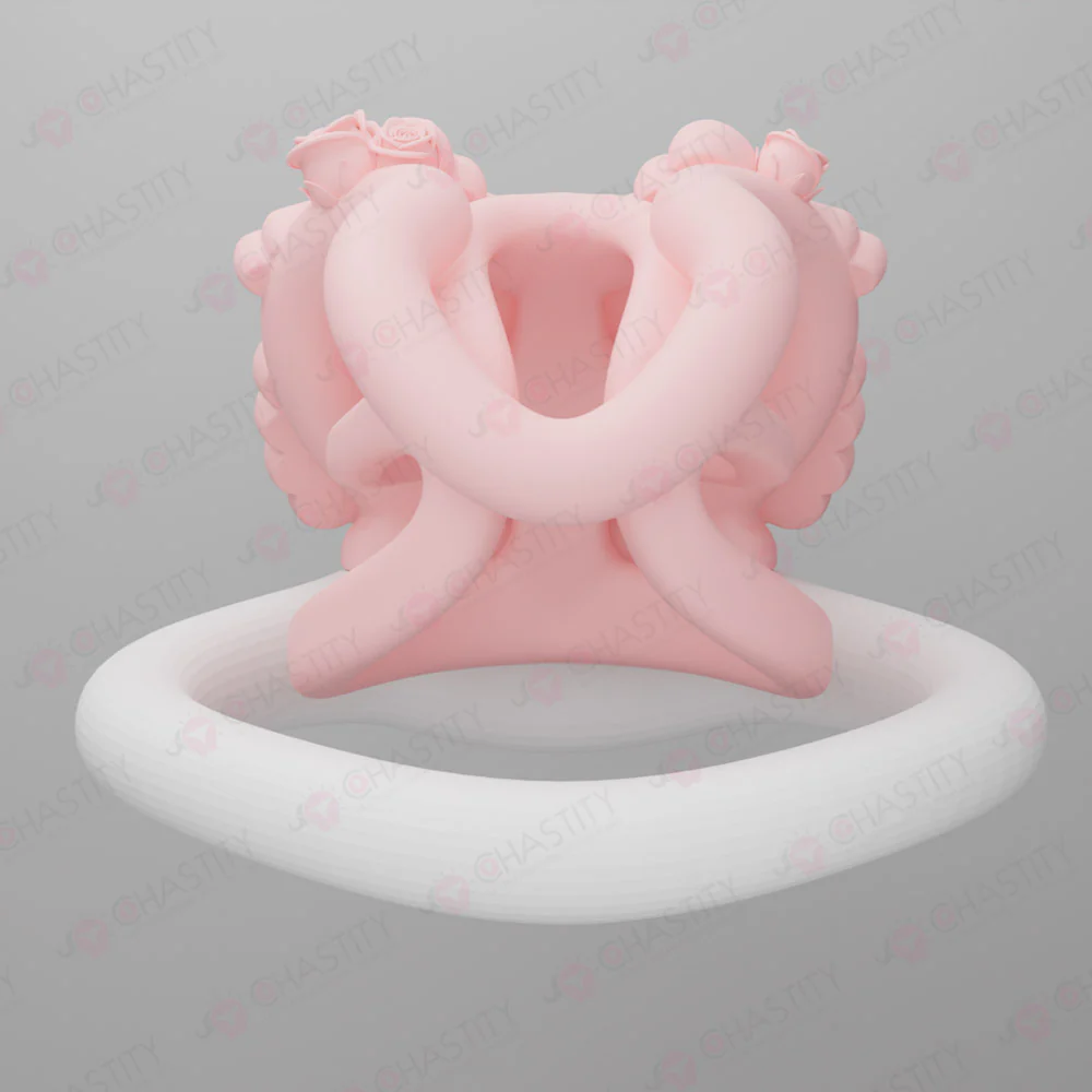 Sissy Lady of a Prominent Family Chastity Cage - Image 5