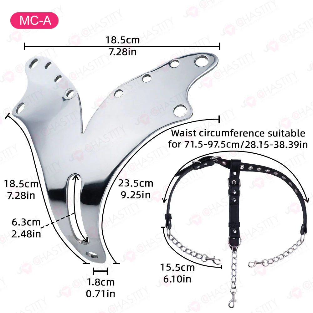 Female Chastity Metal Panties - Image 4