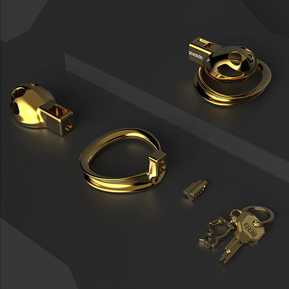 Golden Beatles Chastity Lock - Image 9