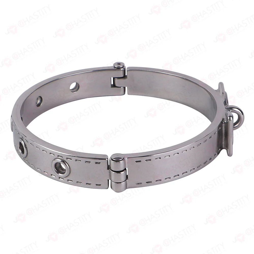 Heavy-Duty Stainless Steel Collar - Image 8