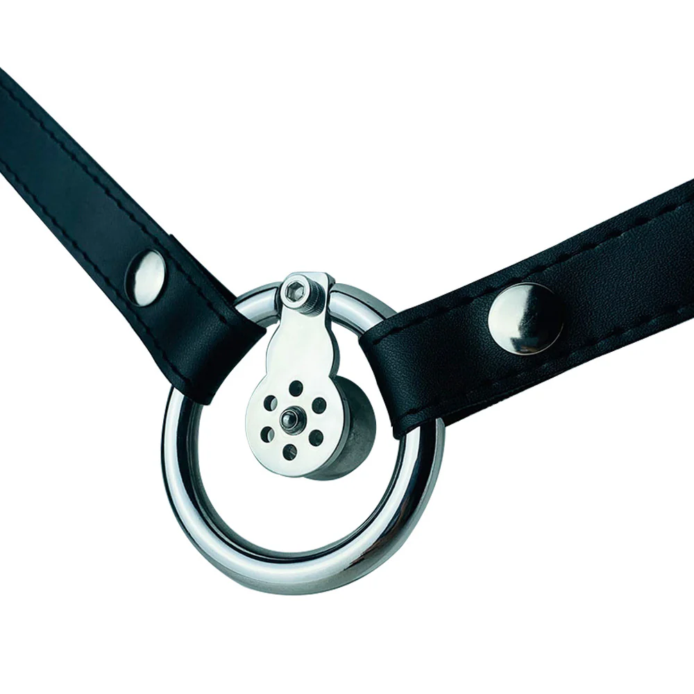 Inverted Chastity Device - Image 5