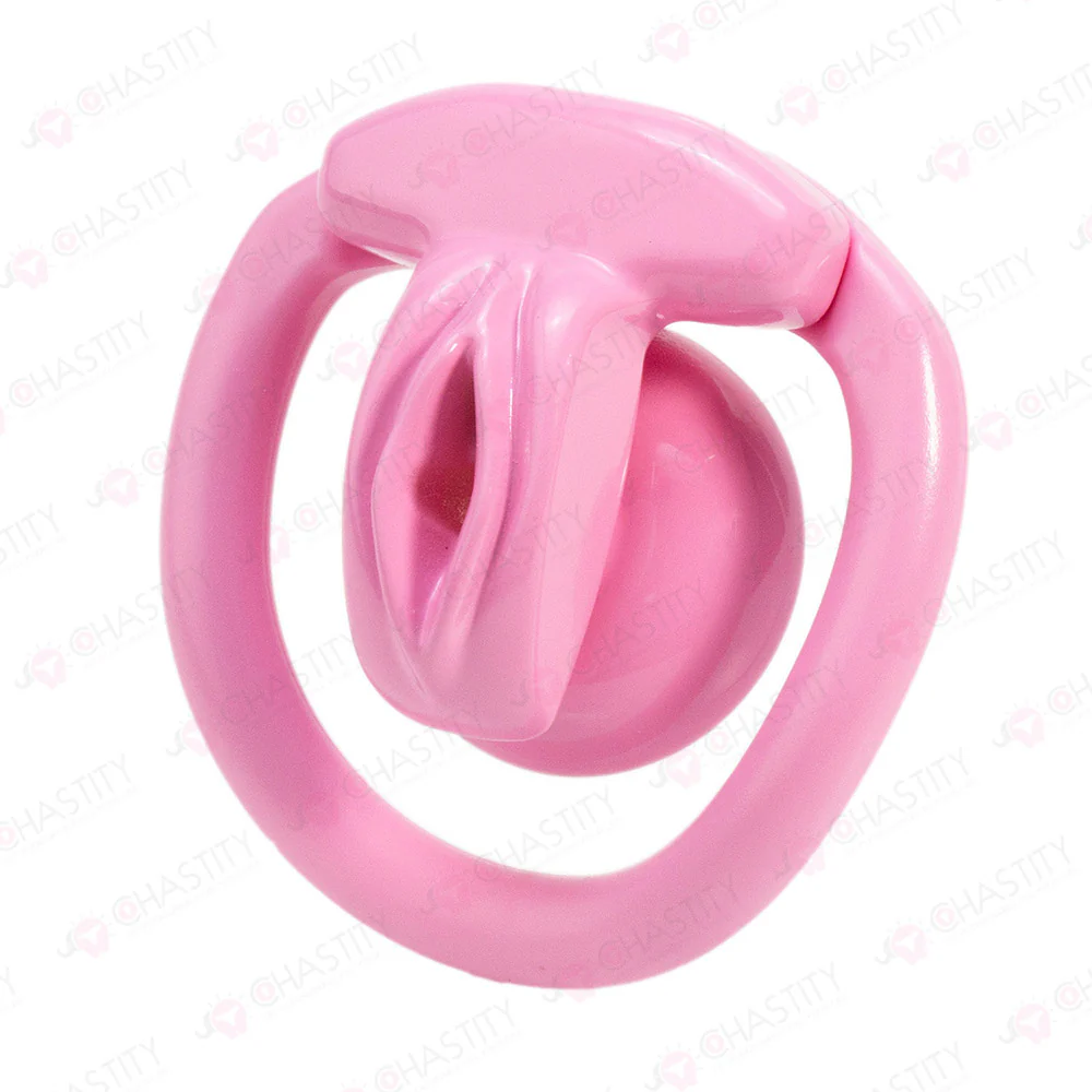 Inverted Crossdressing Chastity Pussy - Image 4