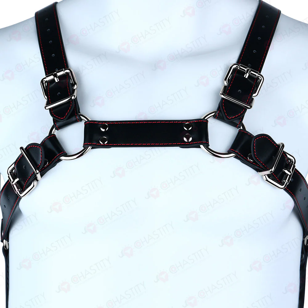 Leather Bondage Harness For Chastity Cage - Image 10