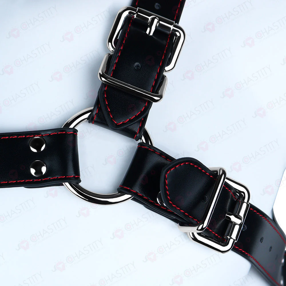 Leather Bondage Harness For Chastity Cage - Image 11