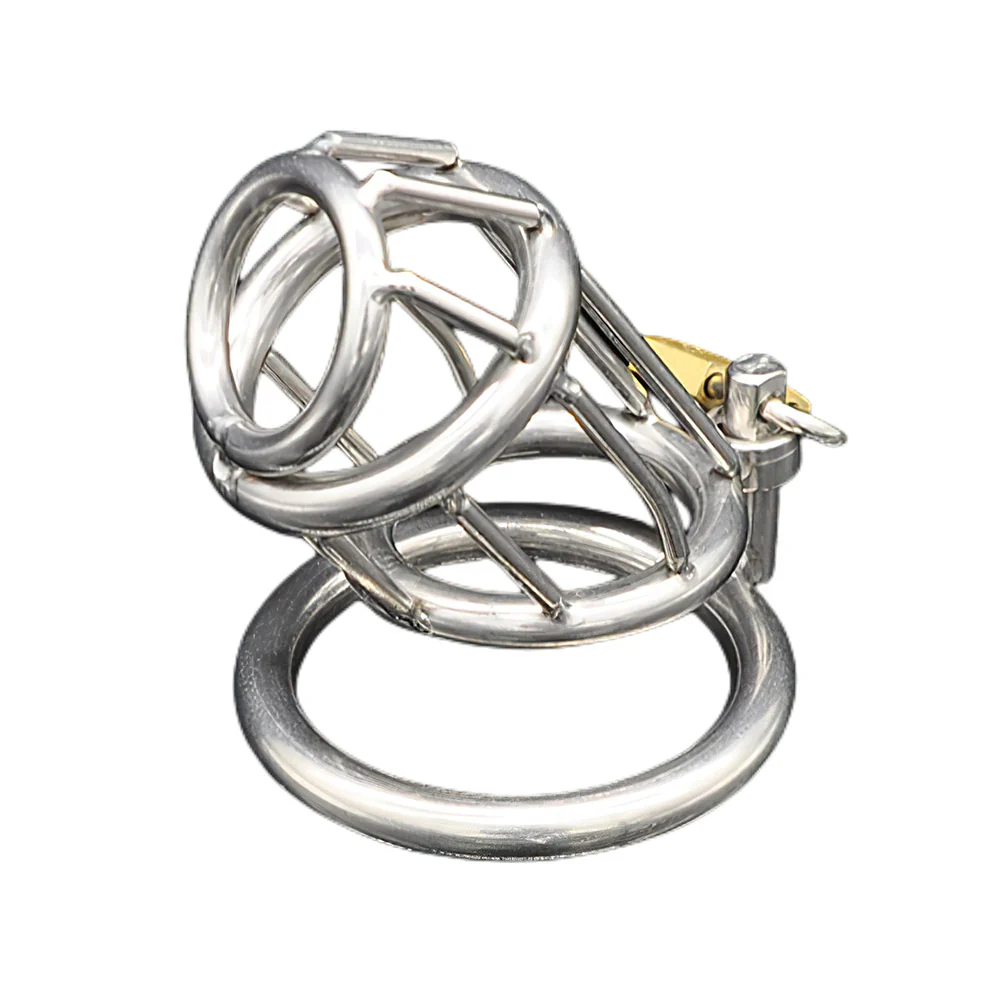 Locked In Steel Chastity - Image 3