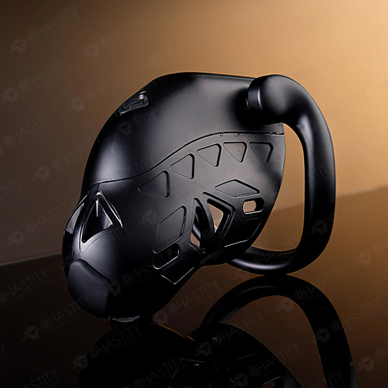 LOCKINK Phone Controlled Online Chastity Cage - Image 8