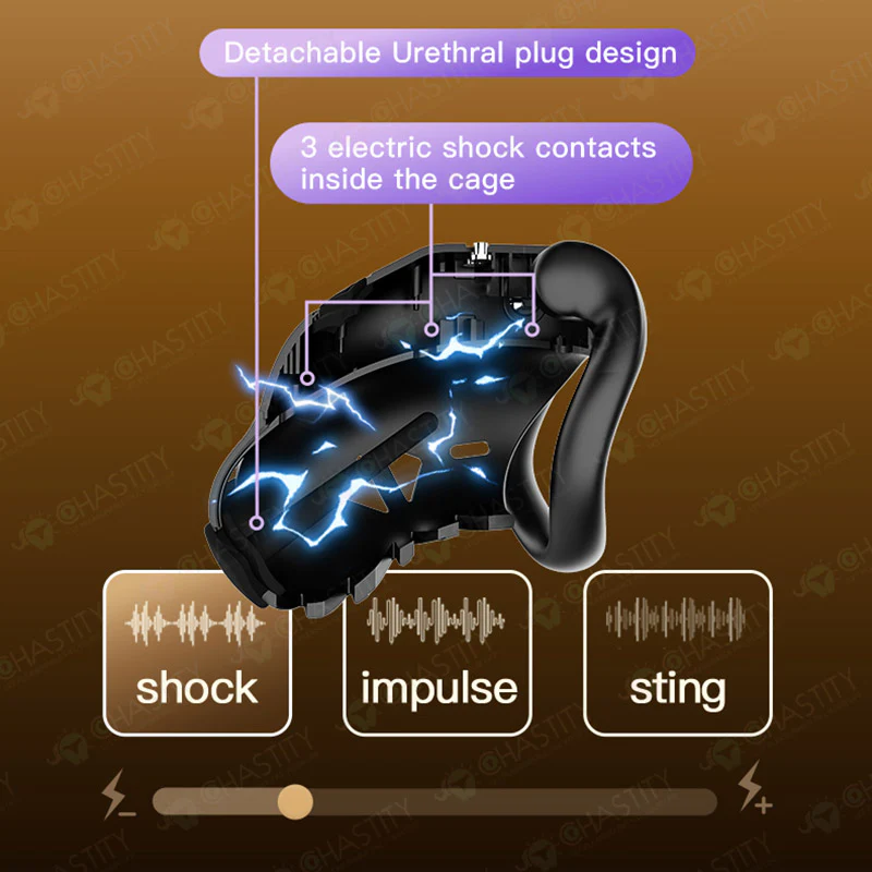 LOCKINK Phone Controlled Online Chastity Cage - Image 9