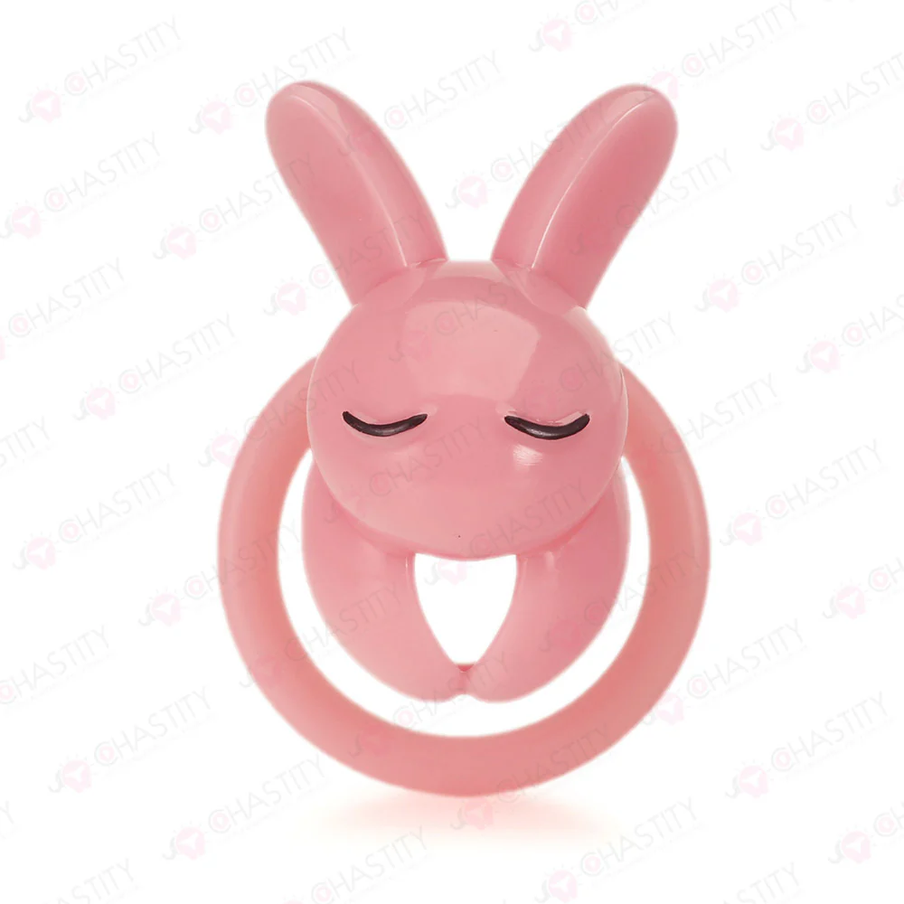 Lovely Sleepy Chastity Bunny - Image 8