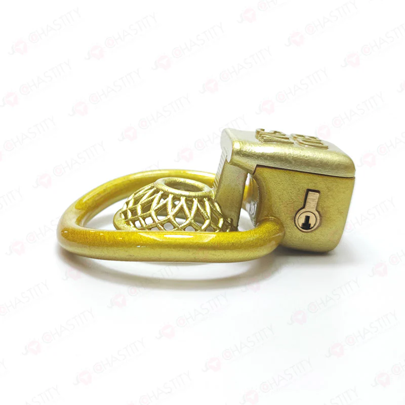 Male Chastity in BDSM Cage - Image 10