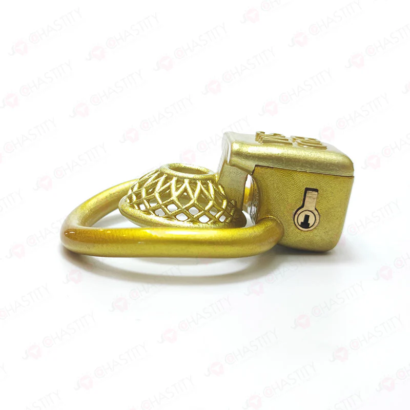 Male Chastity in BDSM Cage - Image 11