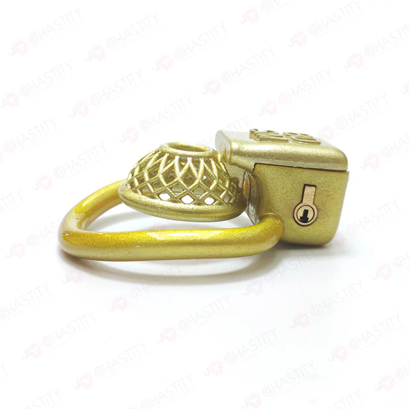 Male Chastity in BDSM Cage - Image 12