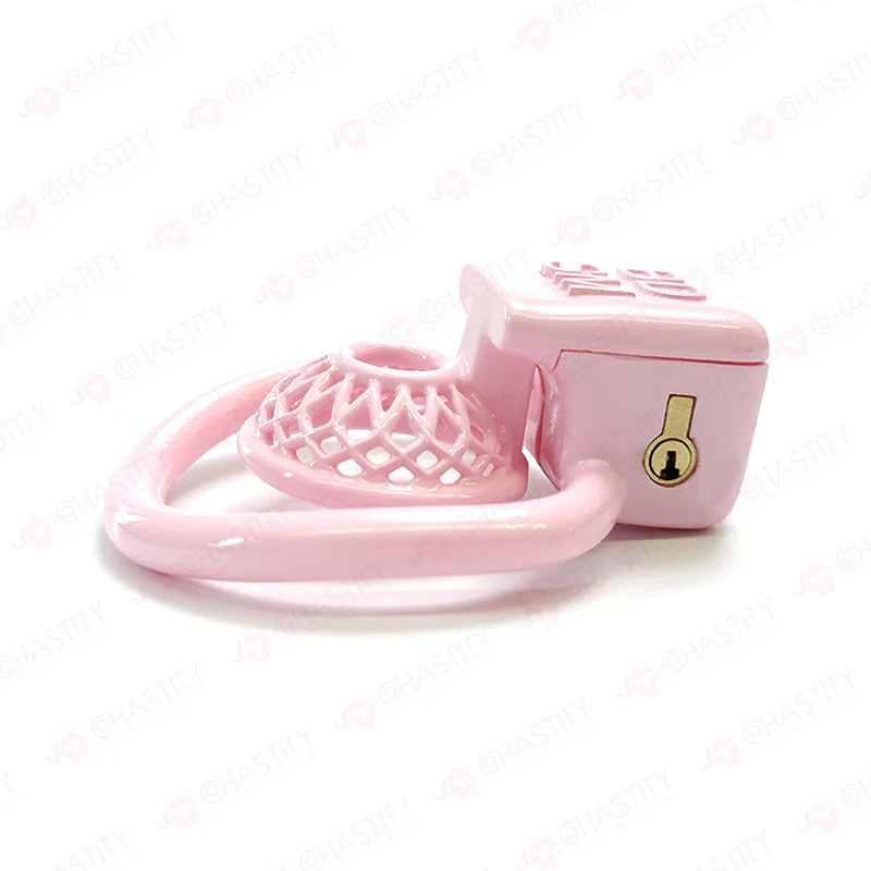 Male Chastity in BDSM Cage - Image 14