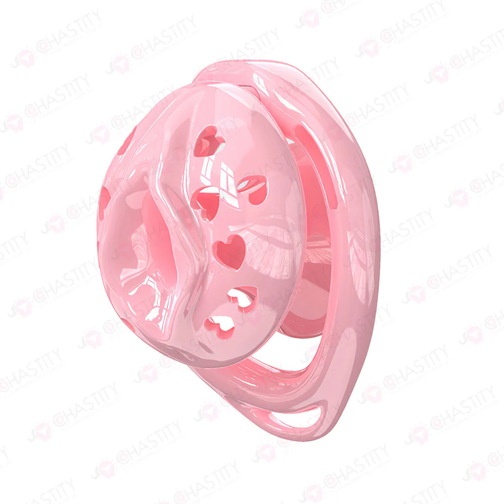 Male to Female Chastity Transformation - Image 2