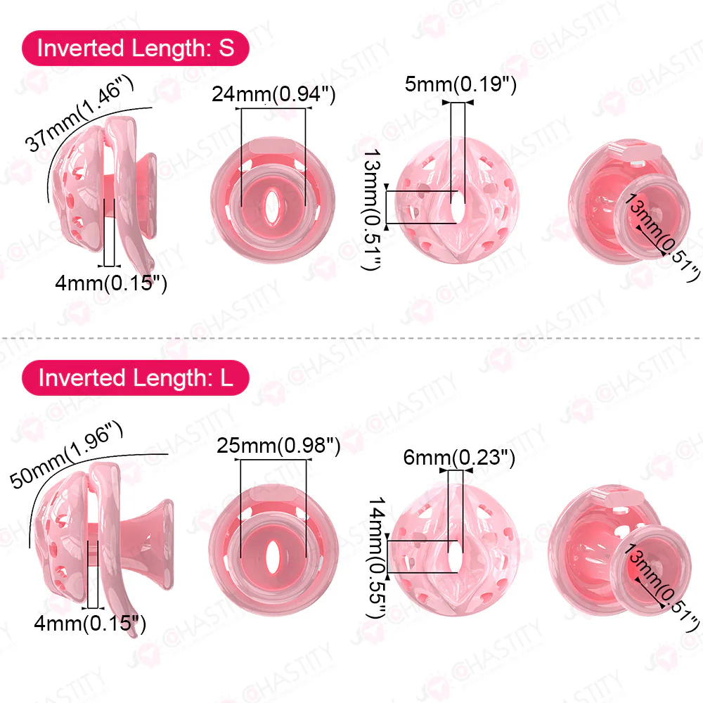 Male to Female Chastity Transformation - Image 3