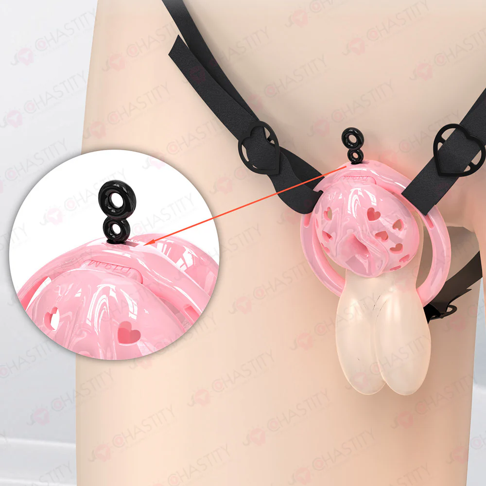 Male to Female Chastity Transformation - Image 7