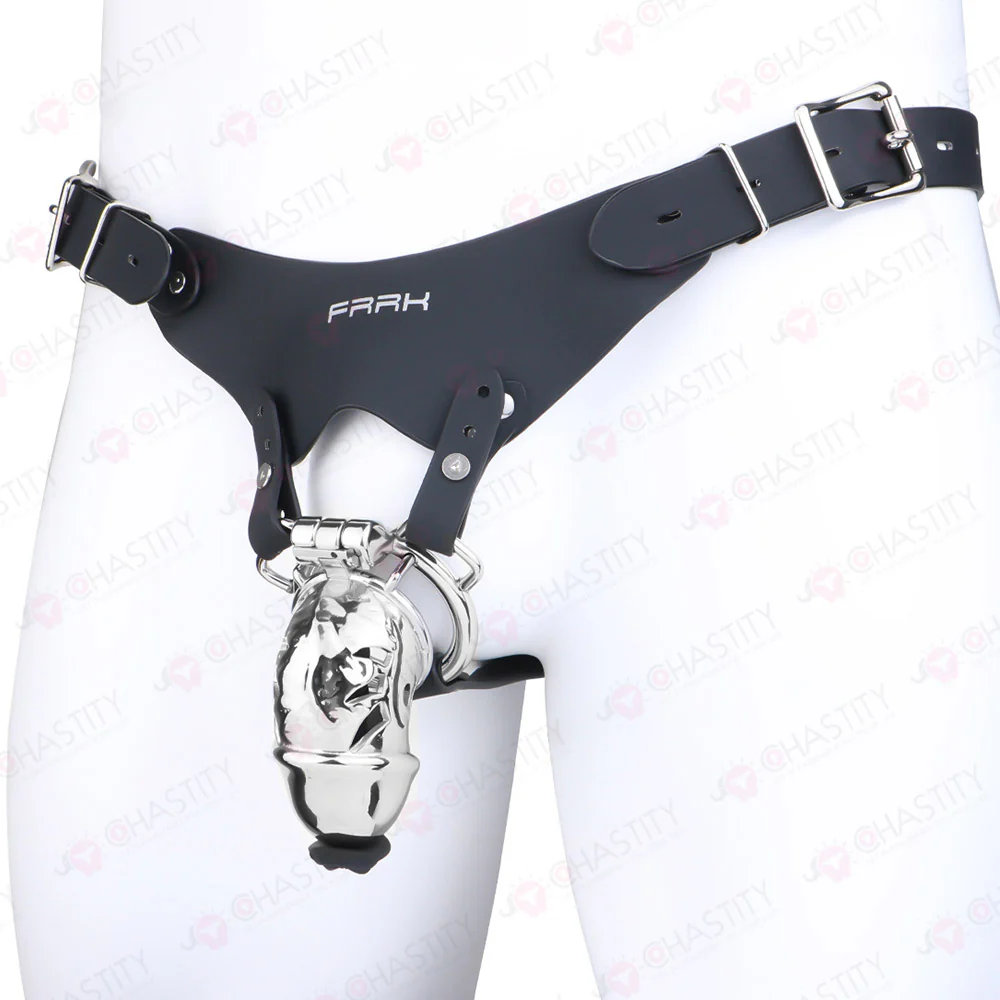 Metal Chastity Dick Bondage Cage - Image 14