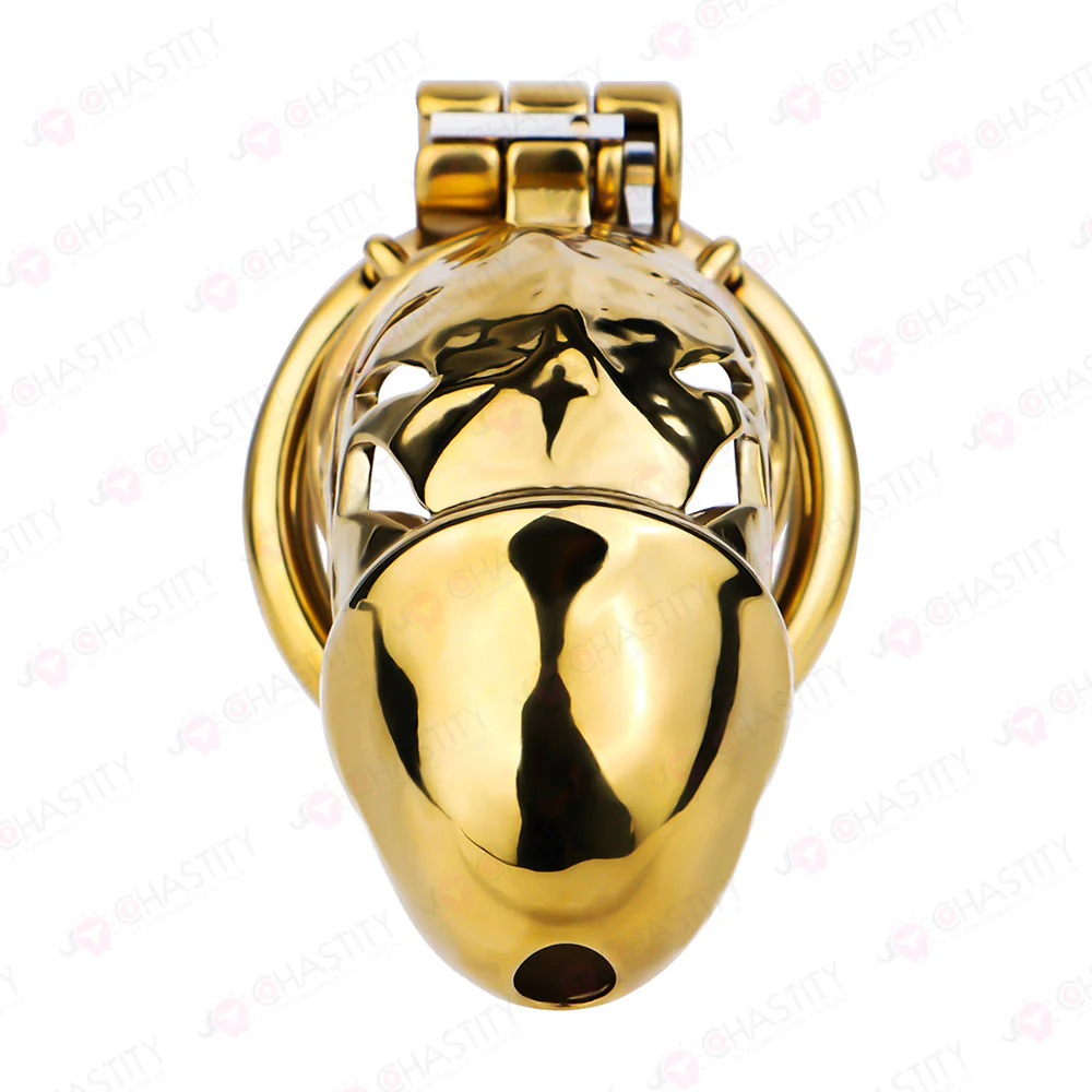 Metal Chastity Dick Bondage Cage - Image 16