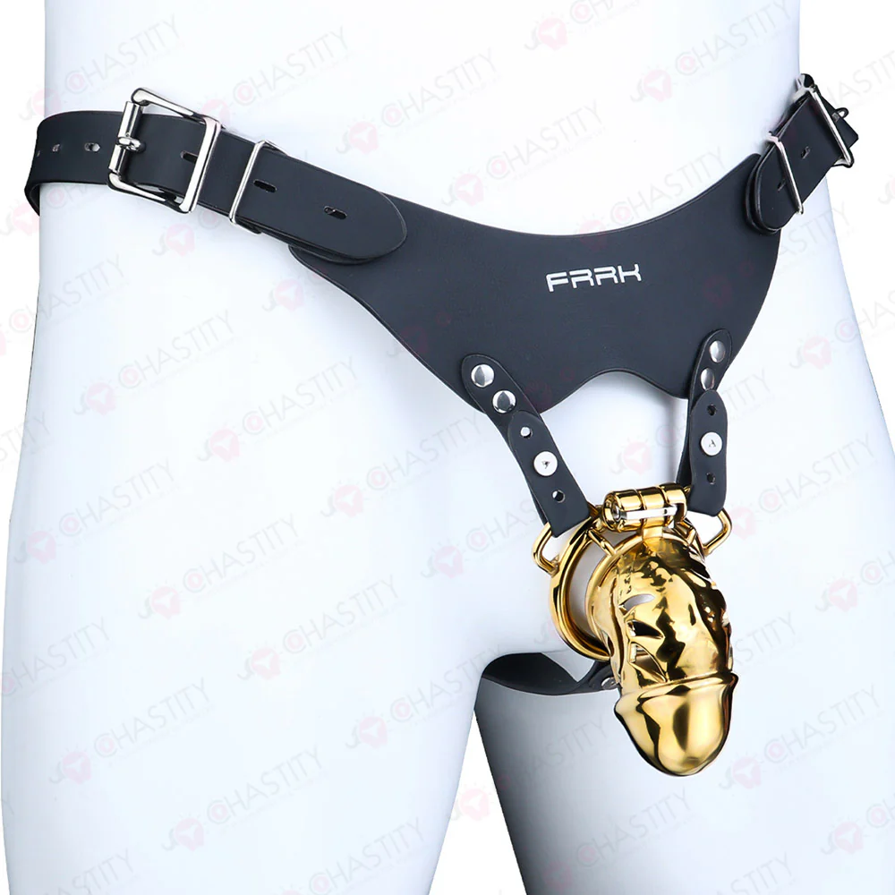Metal Chastity Dick Bondage Cage - Image 17