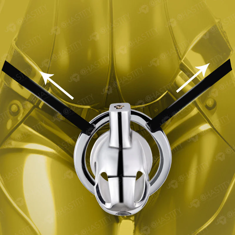 Mistress's Enforced Male Chastity Restraints (3 Rings) - Image 2