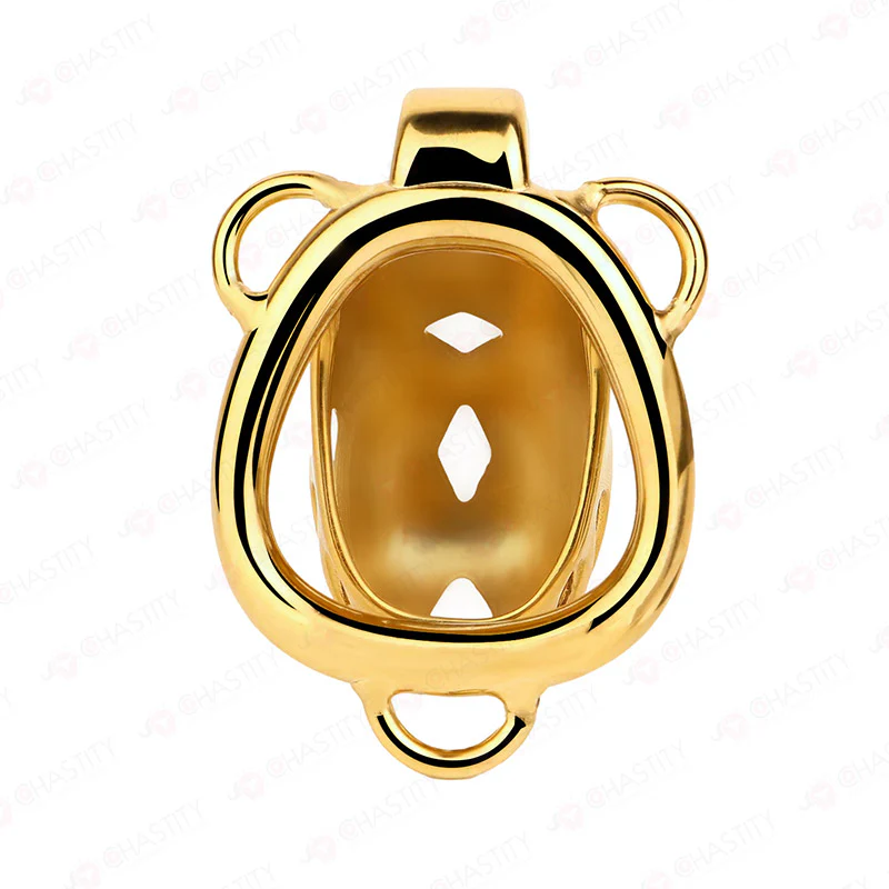 Premium Chastity Cage With Strap - Image 8