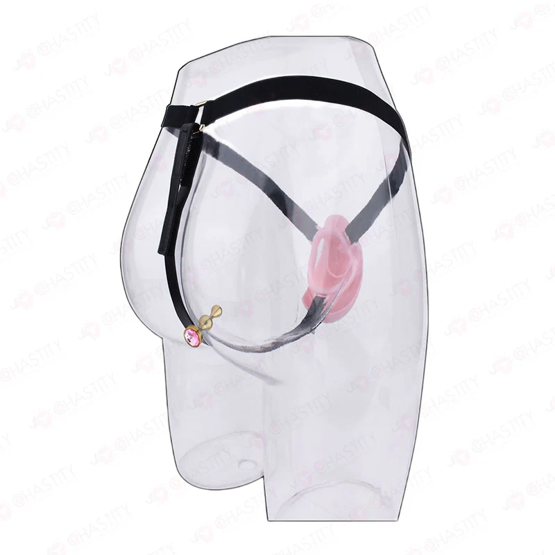 Pussy Cock Cage With Wearable Butt Plug - Image 3