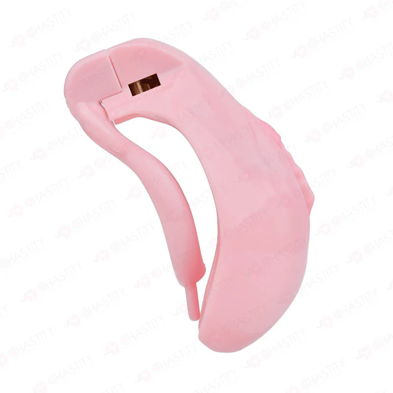 Pussy Cock Cage With Wearable Butt Plug - Image 7