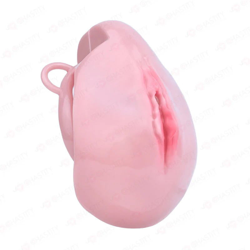 Pussy Cock Cage With Wearable Butt Plug - Image 8