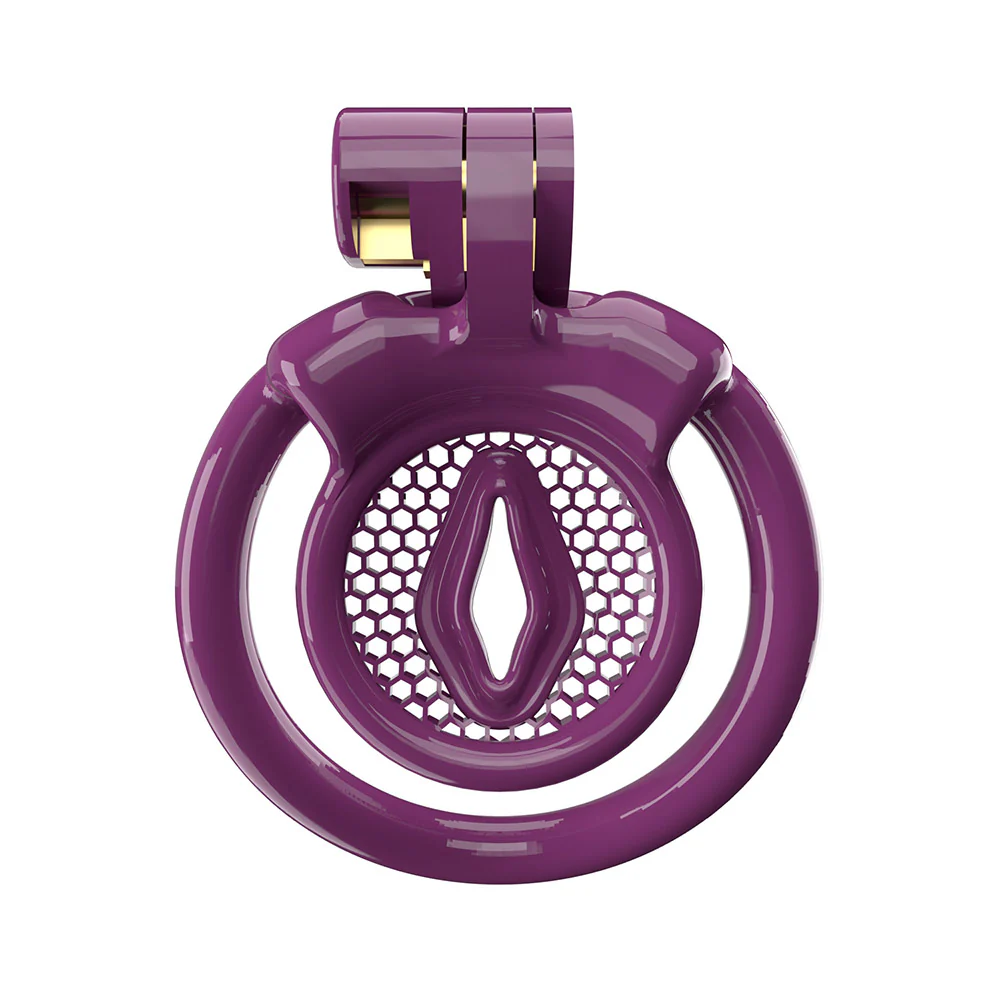 Sissy Chastity Training Kit - Image 8