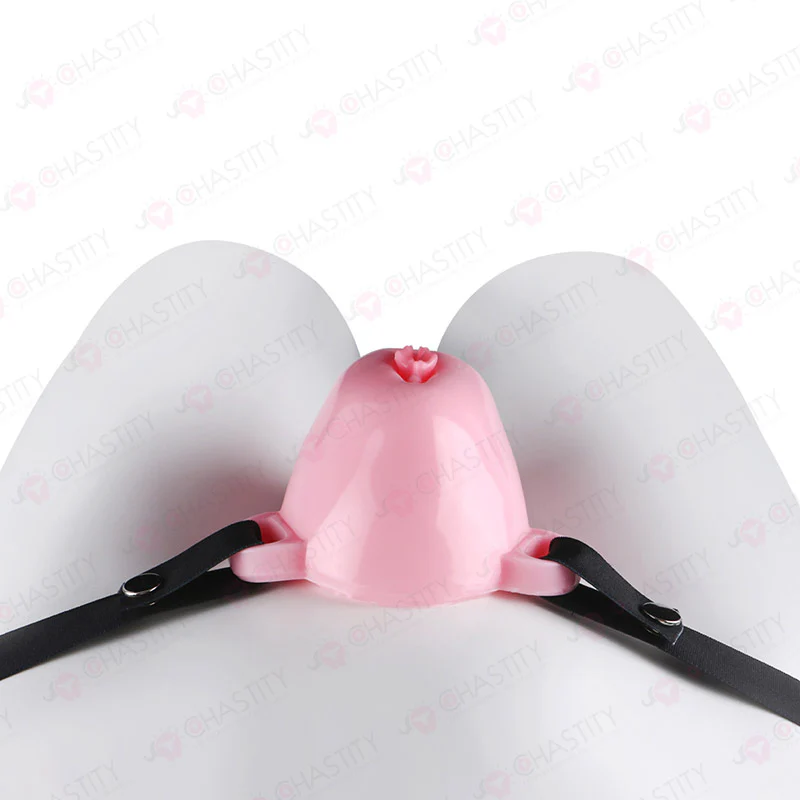 Sissy Feminization Pussy Panties - Image 13