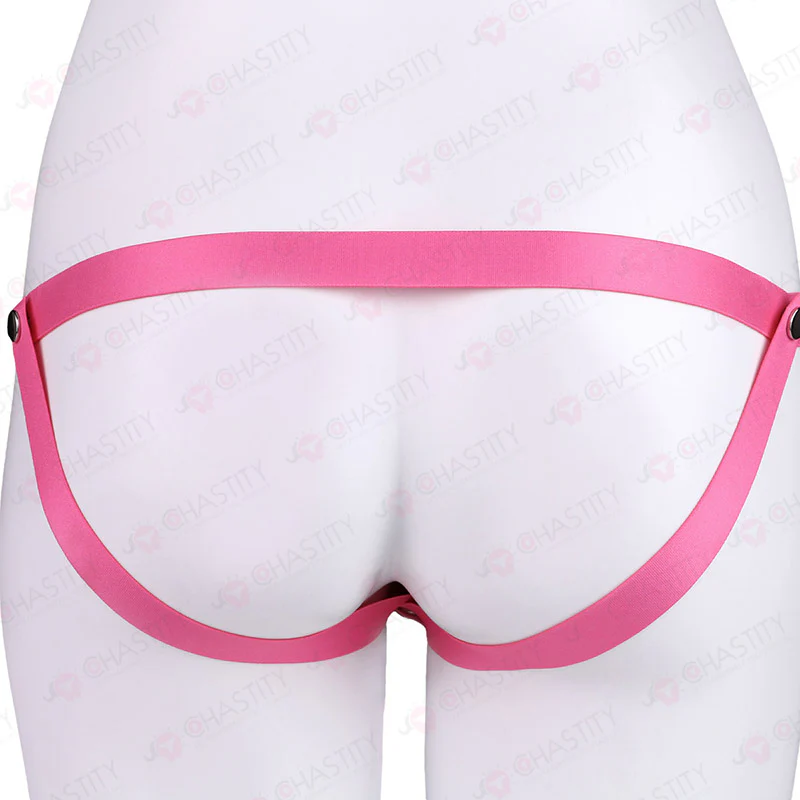 Sissy Feminization Pussy Panties - Image 15