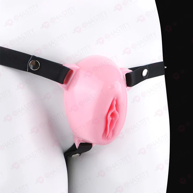 Sissy Feminization Pussy Panties - Image 16