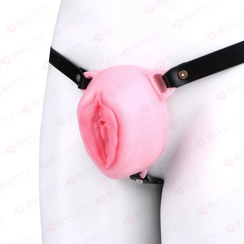 Sissy Feminization Pussy Panties - Image 17