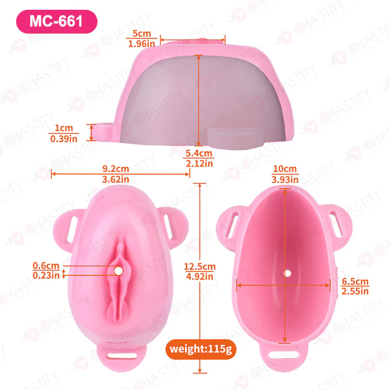 Sissy Feminization Pussy Panties - Image 3