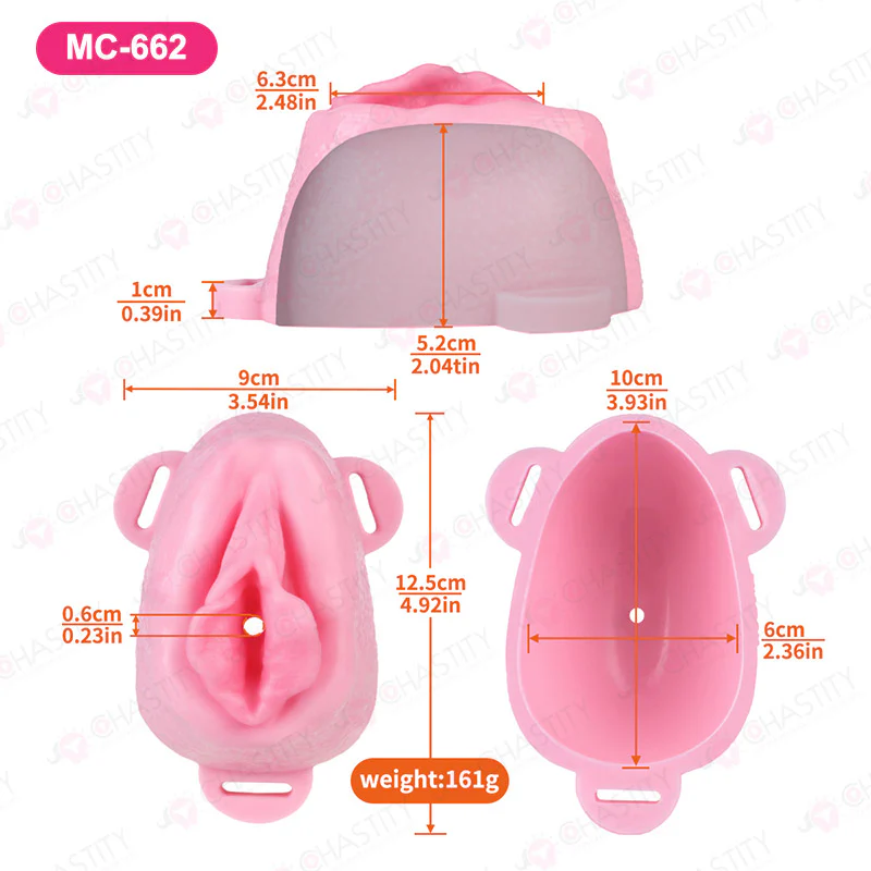 Sissy Feminization Pussy Panties - Image 4