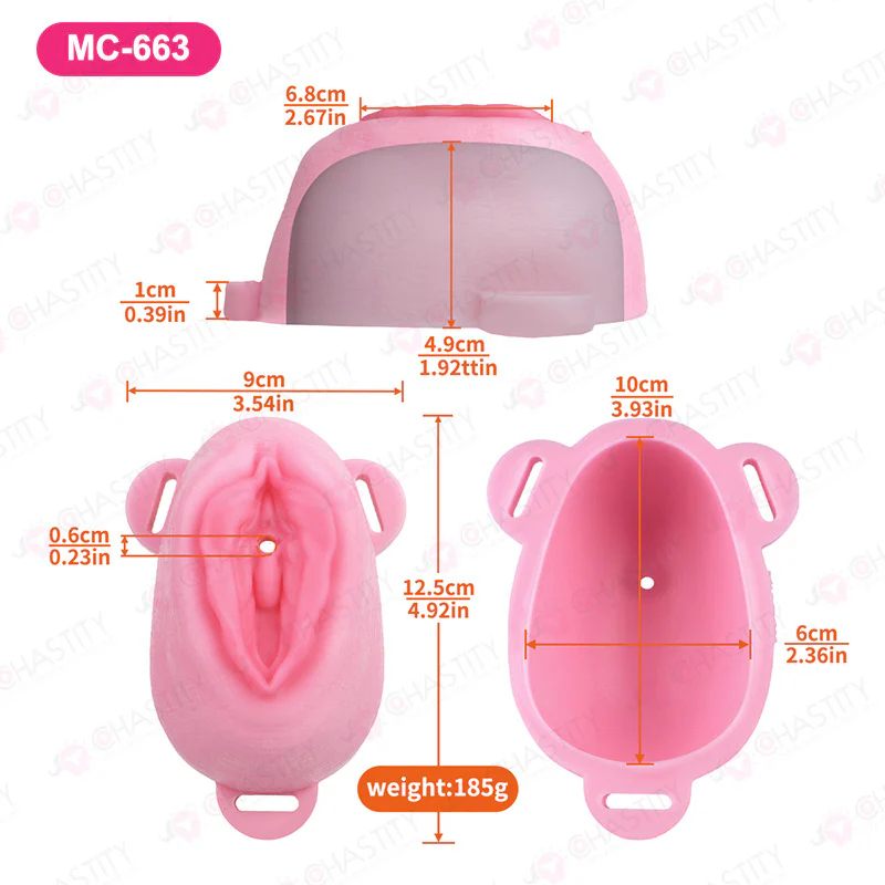 Sissy Feminization Pussy Panties - Image 5