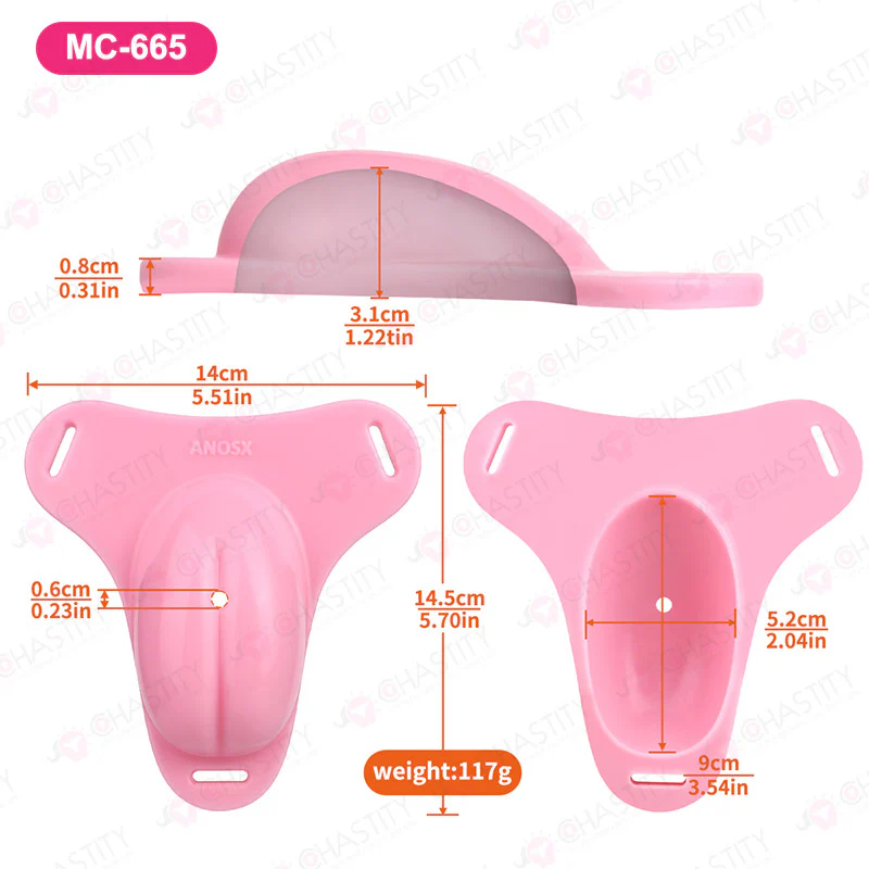 Sissy Feminization Pussy Panties - Image 7