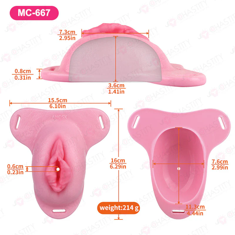 Sissy Feminization Pussy Panties - Image 8